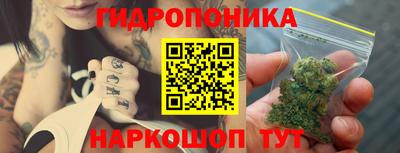 скорость Будённовск