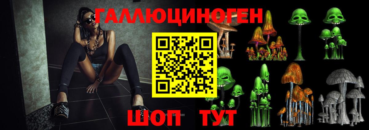 Псилоцибиновые грибы прущие грибы Старая Купавна
