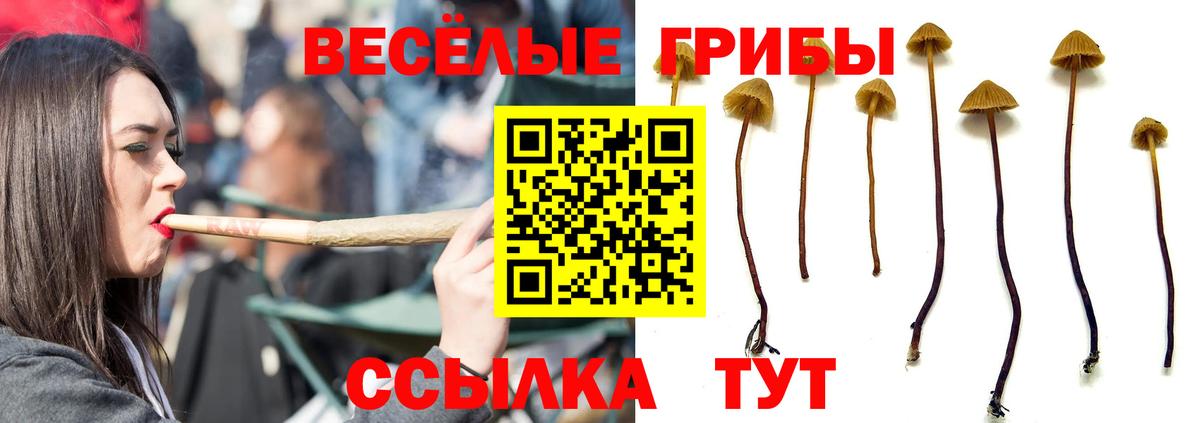 Псилоцибиновые грибы Psilocybe  Галлюциногенные грибы ЛСД  Вход с VPN  Старая Купавна 